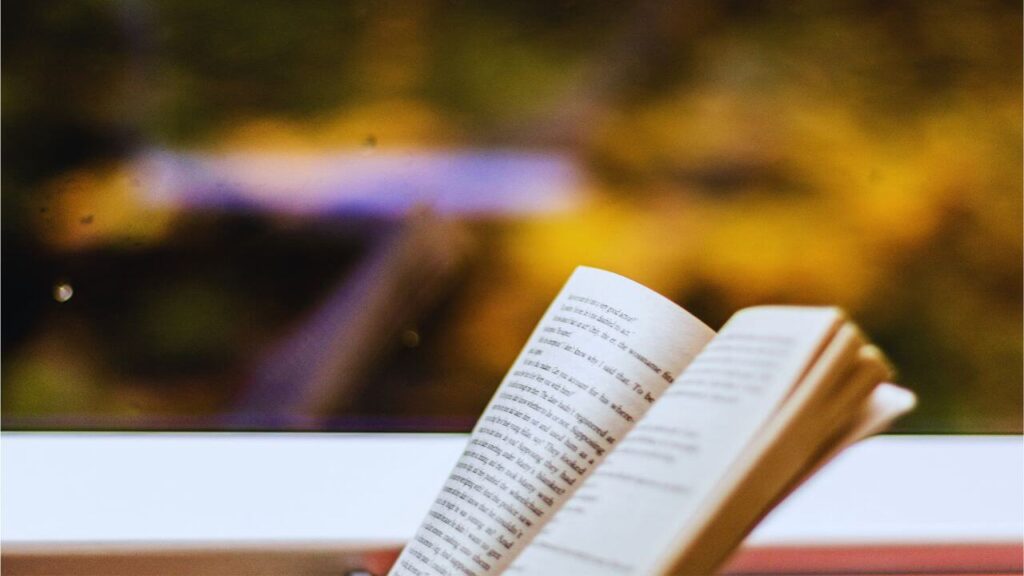車窓を眺めながら読書