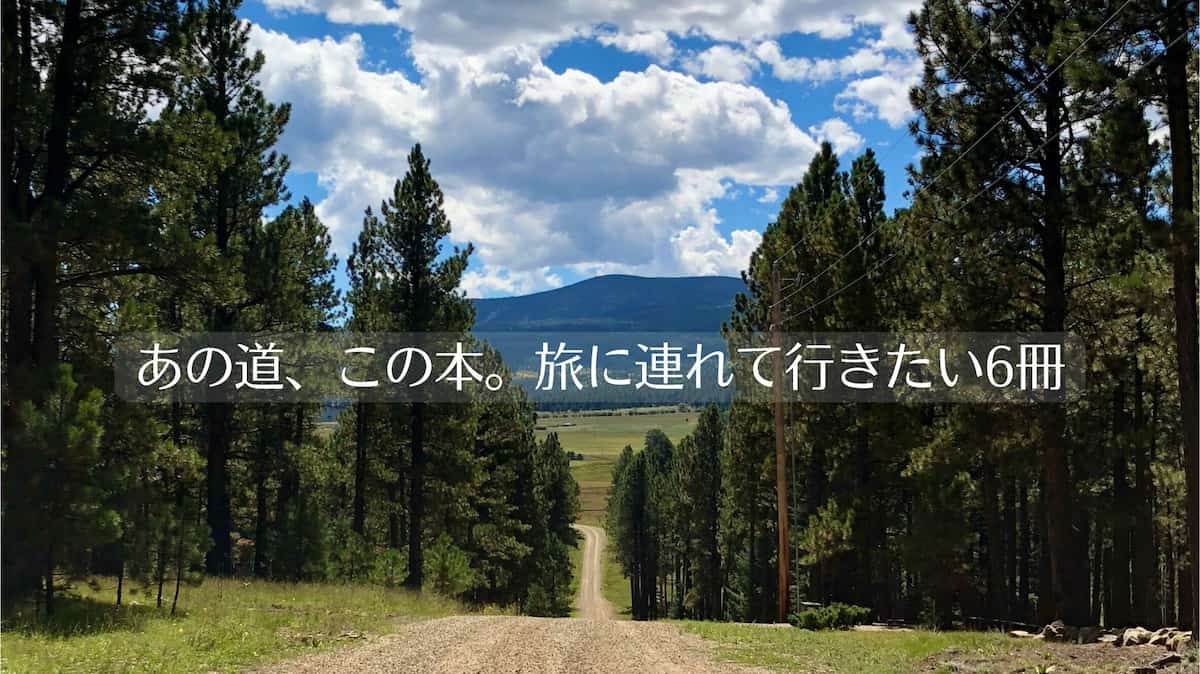 旅で出会った田舎道