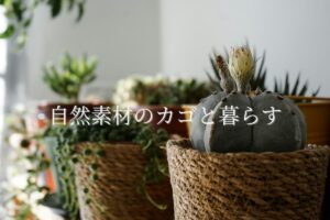 プランターバスケットのある暮らし