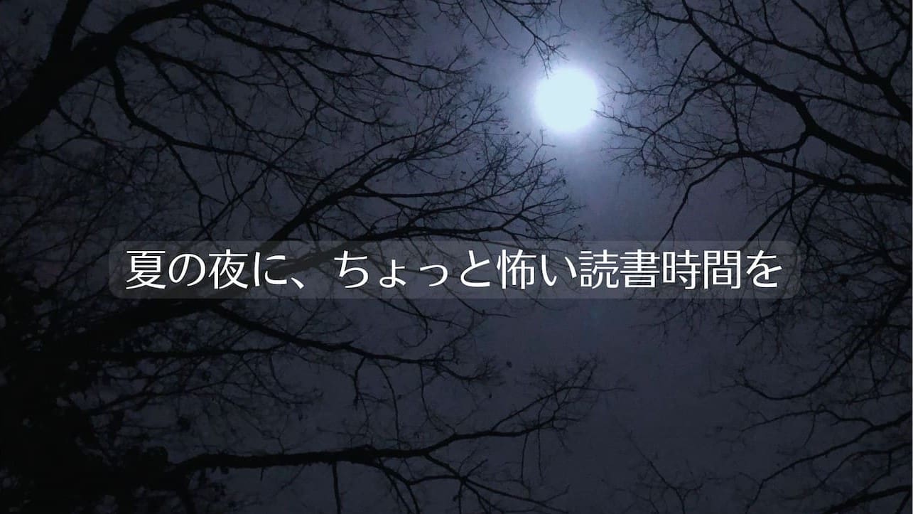 木々の間の夜の月
