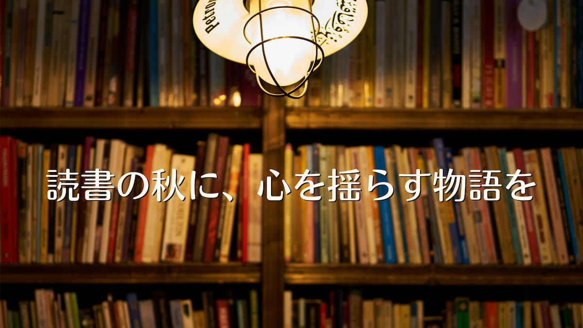 ランプに照らされた本棚