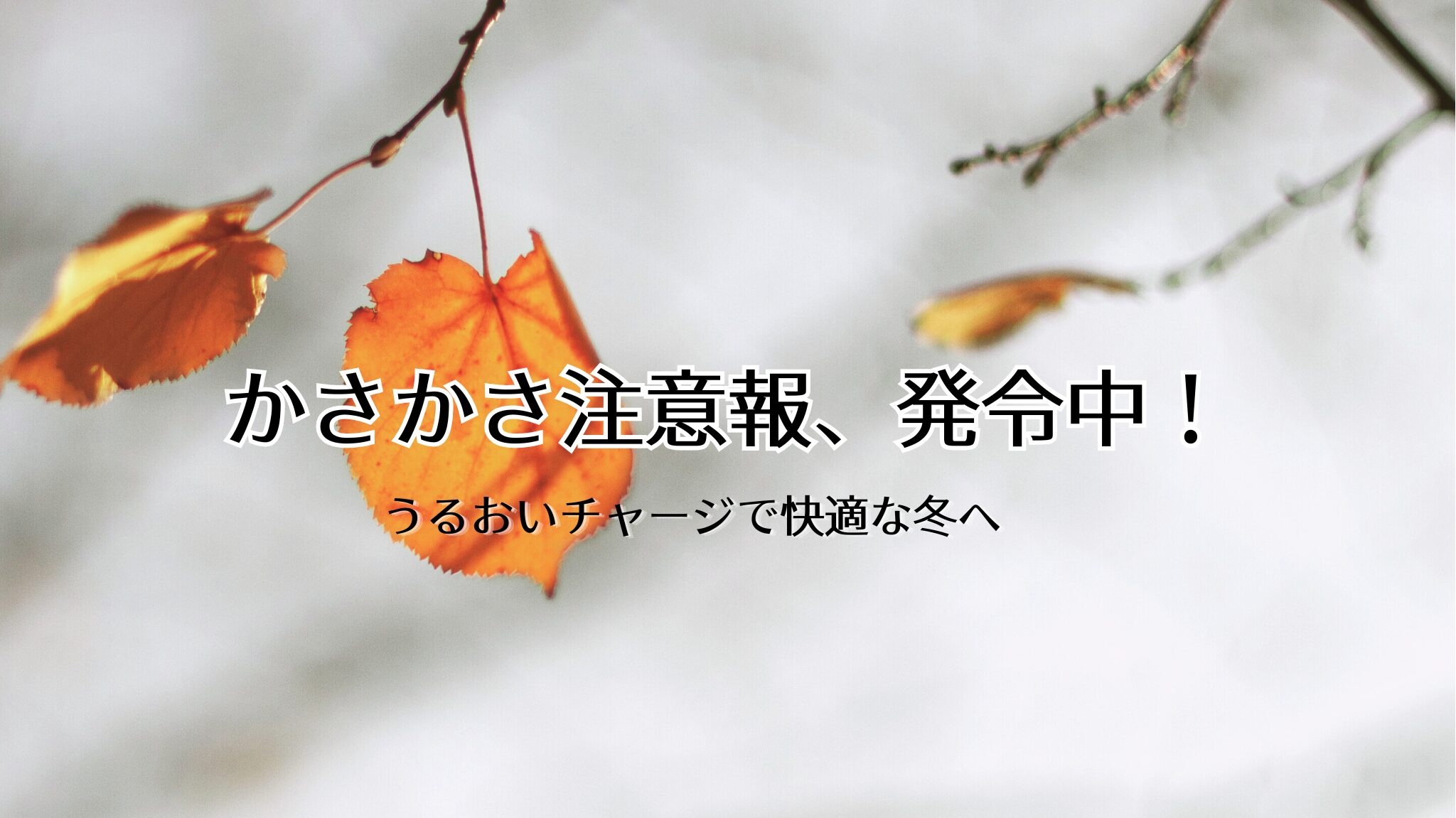 カサカサ乾燥注意報!